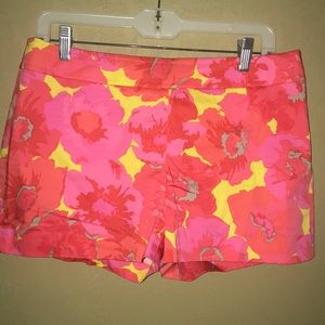 Loft (Petite) Shorts